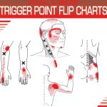 Travell and Simons’ Trigger Point Flip Charts PDF Free Download