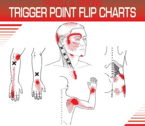 Travell and Simons’ Trigger Point Flip Charts PDF Free Download