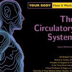 Your Body How It Works - The Circulatory System PDF Free Download
