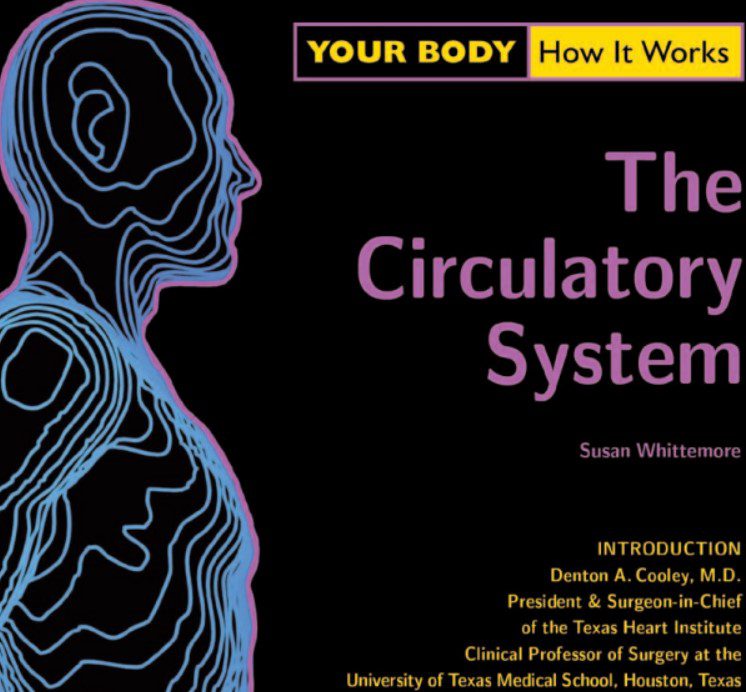 Your Body How It Works - The Circulatory System PDF Free Download