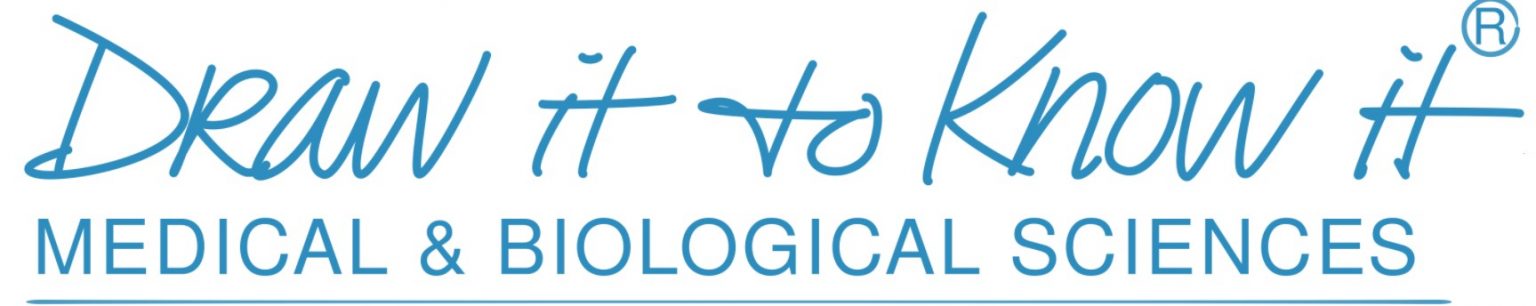 anyone use drawit to know it to study for mcat anyone use drawit to know it to study for mcat