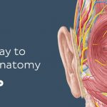 KENHUB Videos 2020 Anatomy And Histology Free Download