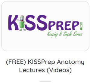KISSPrep Anatomy Videos Lectures 2021 Free Download