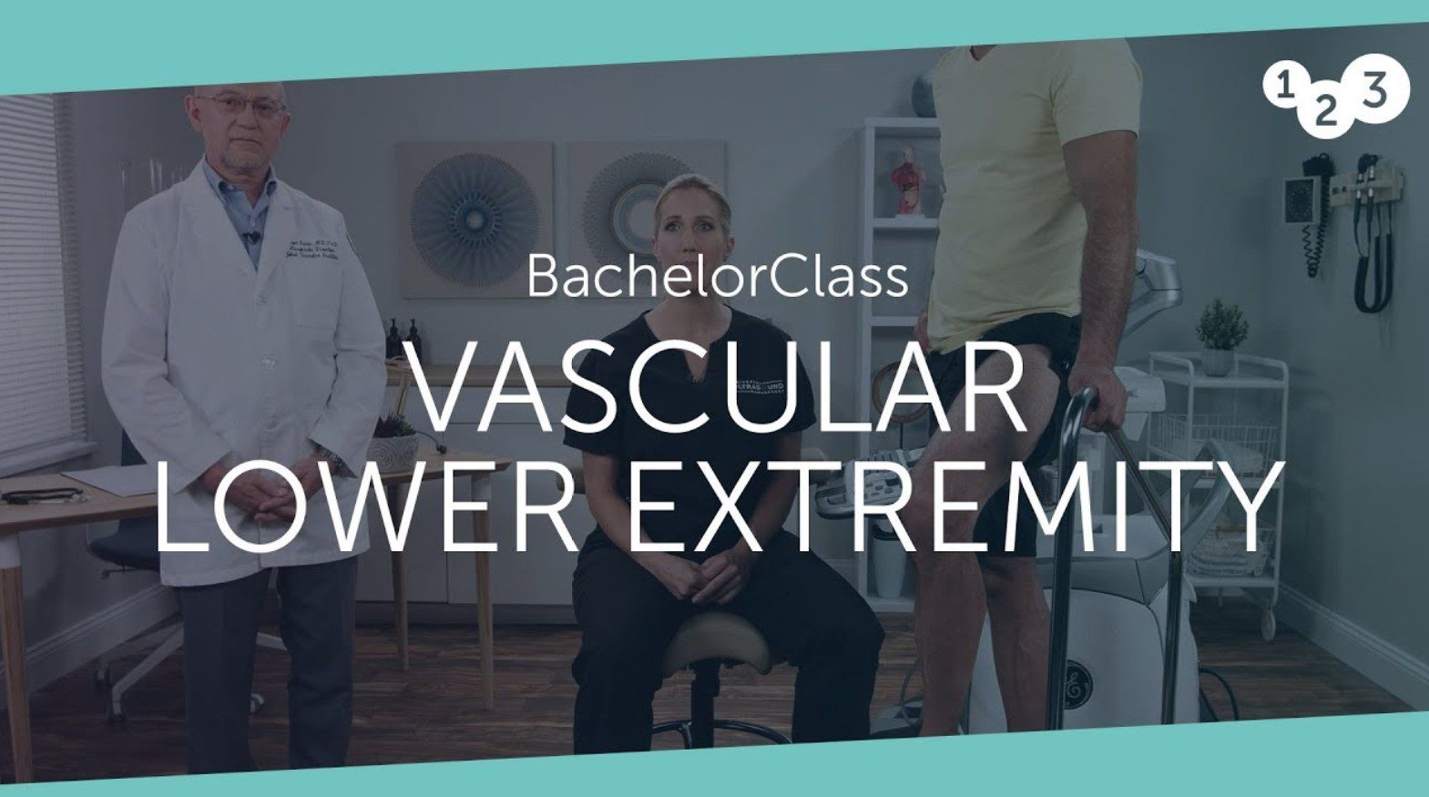 123sonography BachelorClass VASCULAR LOWER EXTREMITY 2023 Free Download