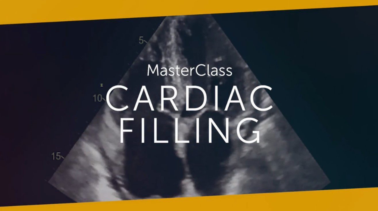 123sonography Cardiac Filling MasterClass 2023 Free Download