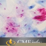 Masters of Pathology Series Cytopathology 2020 Free Download