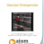 Vascular Emergencies 2020 Free Download