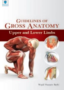 Guidelines of Gross Anatomy Upper and Lower Limbs By Wajid Hussain Barki PDF Free Download