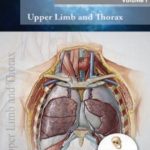 Thieme Anatomy Upper Limb and Thorax | Volume I By Vishram Singh PDF Free Download