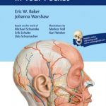 Anatomy for Dental Medicine in Your Pocket PDF Free Download