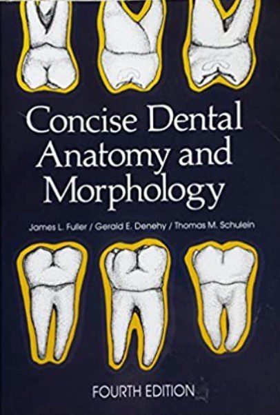Concise Dental Anatomy and Morphology 4th Edition PDF Free Download