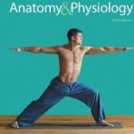 Fundamentals of Anatomy and Physiology by Martini PDF Free Download