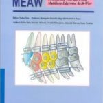 Manual for Clinical Application of MEAW Technique PDF Free Download