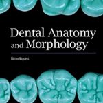 Dental Anatomy and Morphology PDF Free Download