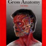Review of Gross Anatomy 6th Edition PDF Free Download