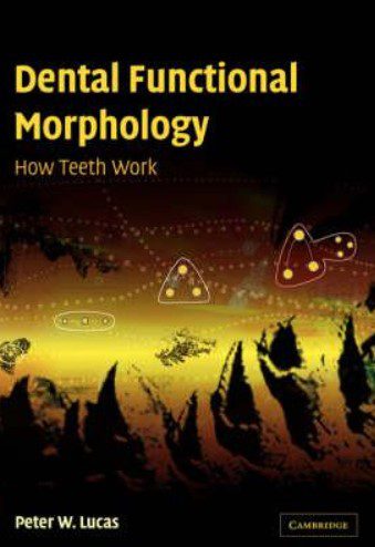 Dental Functional Morphology PDF Free Download