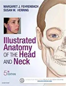 illustrated anatomy of the head and neck free download