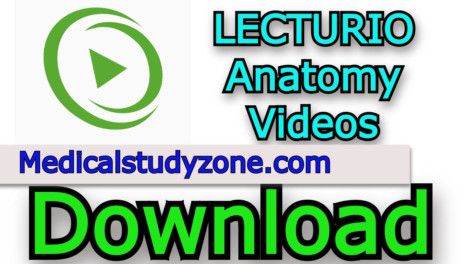 LECTURIO Anatomy Videos 2022 Free Download