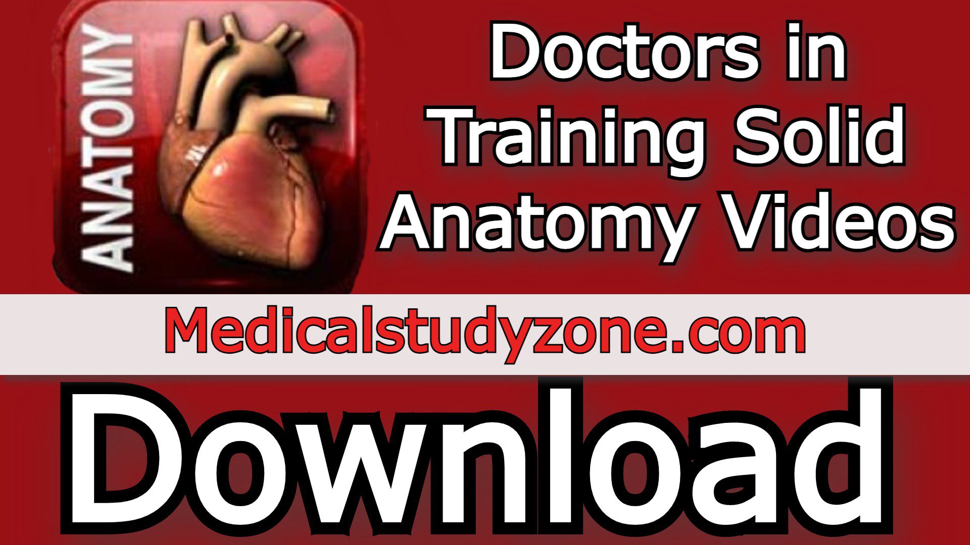 Doctors in Training Solid Anatomy Videos 2022 Free Download