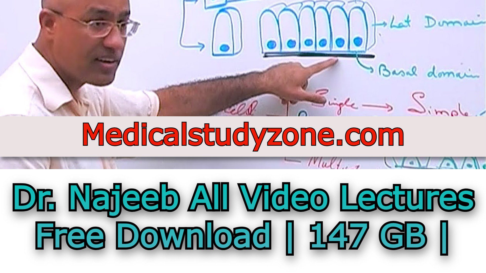 Dr. Najeeb All Video Lectures 2022 Free Download | 147 GB |