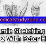 Dynamic Sketching 2021 Vol 1 & 2 With Peter Han Free Download