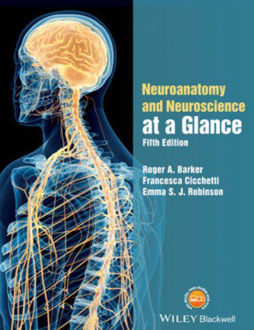 Neuroanatomy and Neuroscience at a Glance 5th Edition PDF Free Download