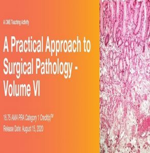 Download 2020 A Practical Approach to Surgical Pathology – Volume VI Free