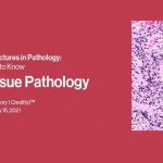 Download 2021 Classic Lectures in Pathology: What You Need to Know: Soft Tissue Pathology Free
