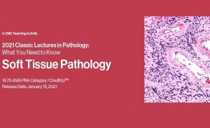 Download 2021 Classic Lectures in Pathology: What You Need to Know: Soft Tissue Pathology Free