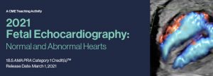Download 2021 Fetal Echocardiography: Normal and Abnormal Hearts Free