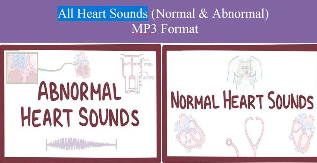 Download All Heart And Respiratory Sounds (Normal & Abnormal) In MP3 Format Free