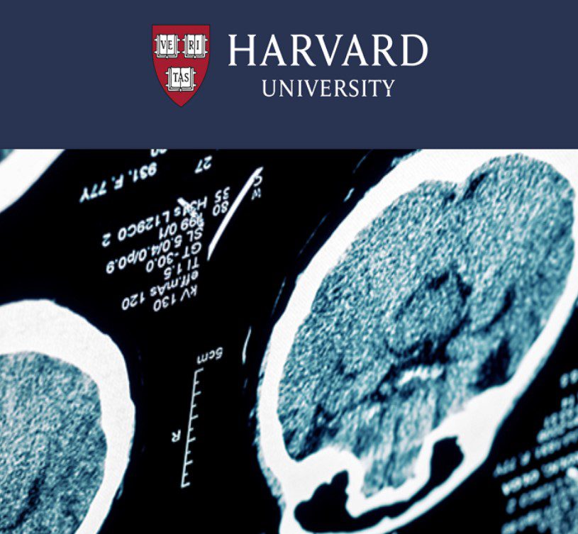 Download Harvard University Stroke and Other Common Neurological Conditions 2021 Videos And PDF Free