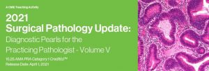 Download Surgical Pathology Update: Diagnostic Pearls for the Practicing Pathologist – Volume V Free