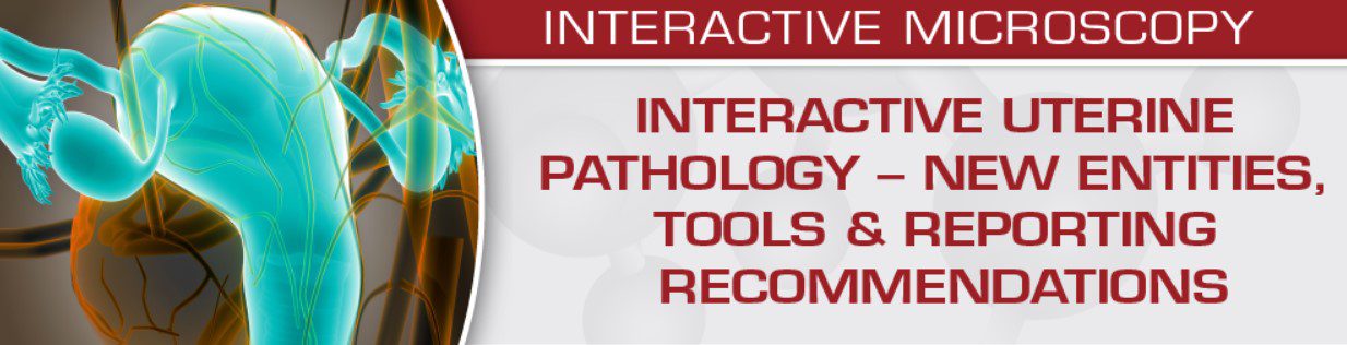 Download USCAP Interactive Uterine Pathology – New Entities, Tools & Reporting Recommendations 2020 Free