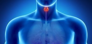 Endocrinology All Courses 2021 Free Download