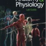 Human Anatomy & Physiology Lab Guide PDF 2021 Free Download