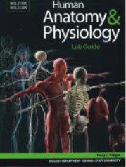 Human Anatomy & Physiology Lab Guide PDF 2021 Free Download