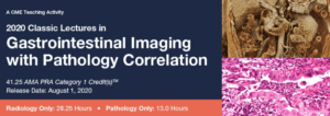 Download 2020 Classic Lectures in Gastrointestinal Imaging With Pathology Correlation Videos and PDF Free