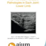 Download AIUM MSK Ultrasound: The Five Most Prevalent Pathologies in Each Joint: Lower Limb Videos Free
