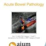 Download AIUM Point-of-Care Ultrasound Assessment of Acute Bowel Pathology Videos Free