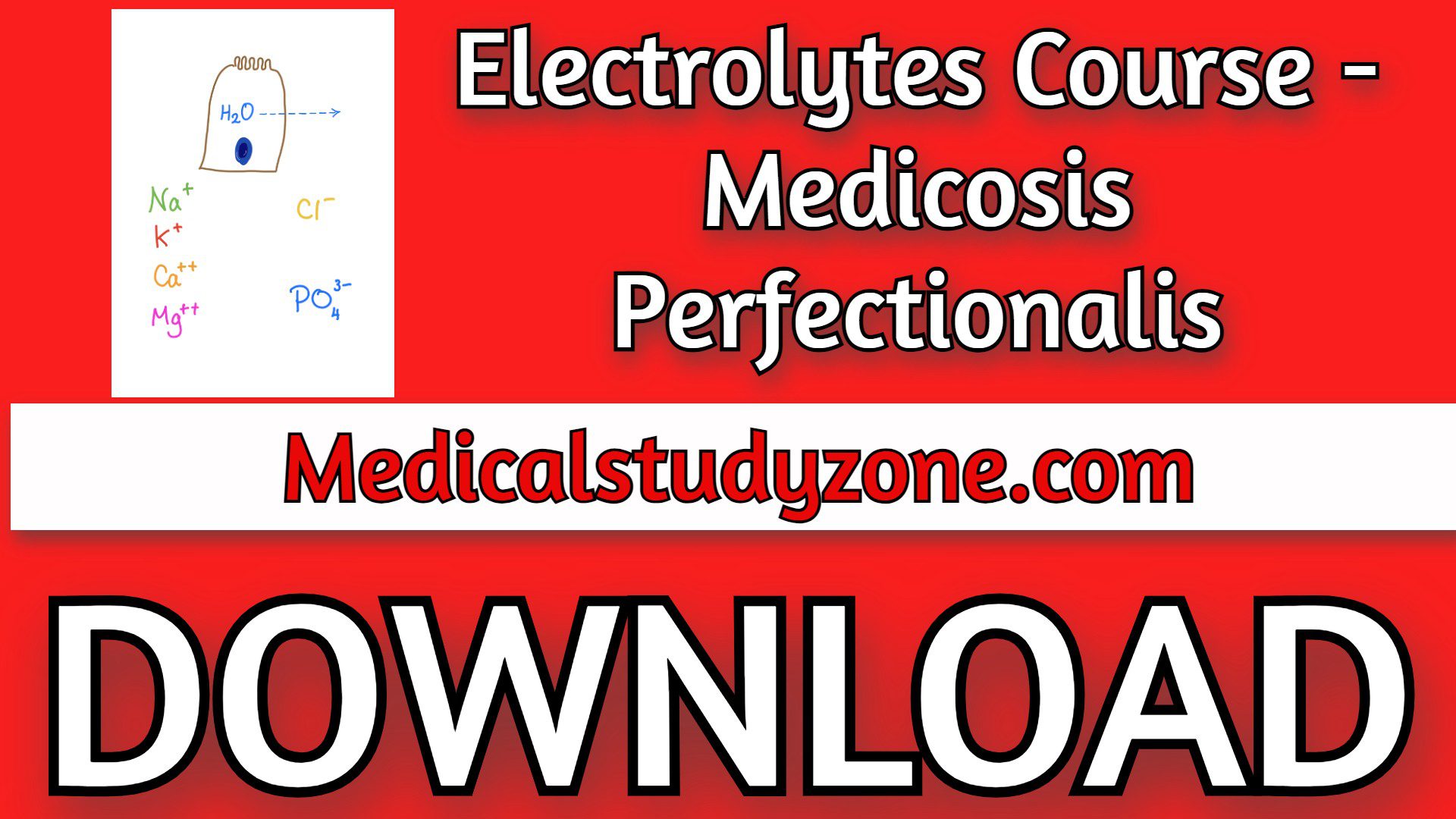 Electrolytes Course 2023 - Medicosis Perfectionalis Free Download