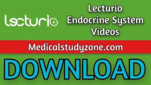 Lecturio Endocrine System Videos 2021 Free Download