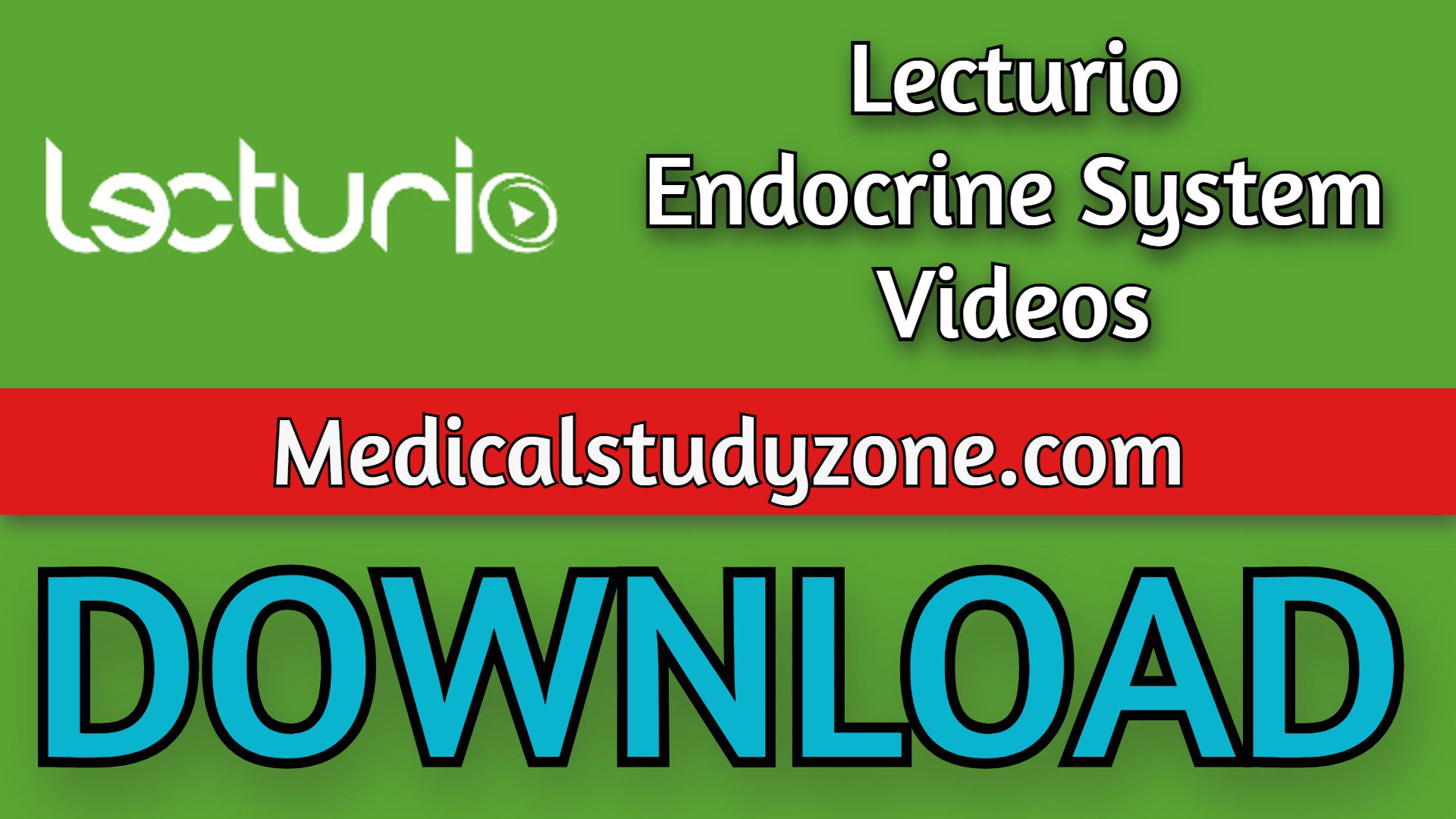 Lecturio Endocrine System Videos 2022 Free Download