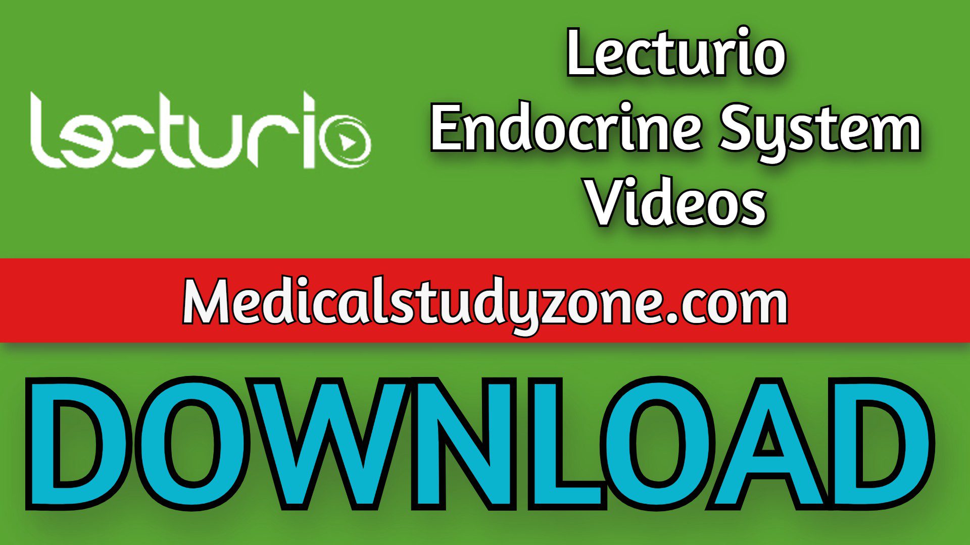 Lecturio Endocrine System Videos 2023 Free Download