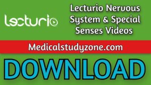 Lecturio Nervous System & Special Senses Videos 2021 Free Download