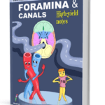 Medinaz High Yield Foramina & Canals Note Book PDF Free Download