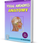 Medinaz Visual Mnemonics Anatomy PDF Free Download