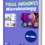Medinaz Visual Mnemonics Microbiology PDF Free Download