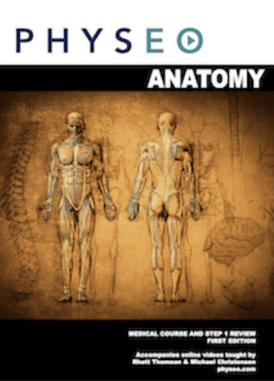 PHYSEO Anatomy Textbook PDF Free Download