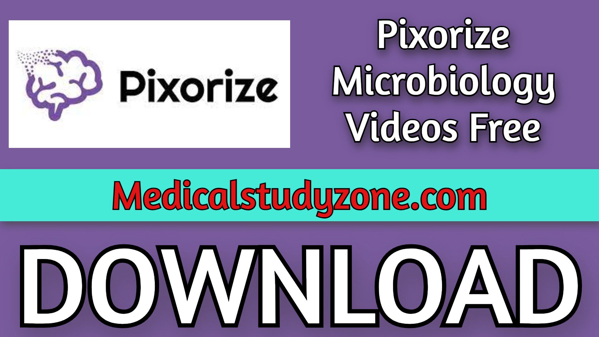 Pixorize Microbiology 2022 Videos Free Download